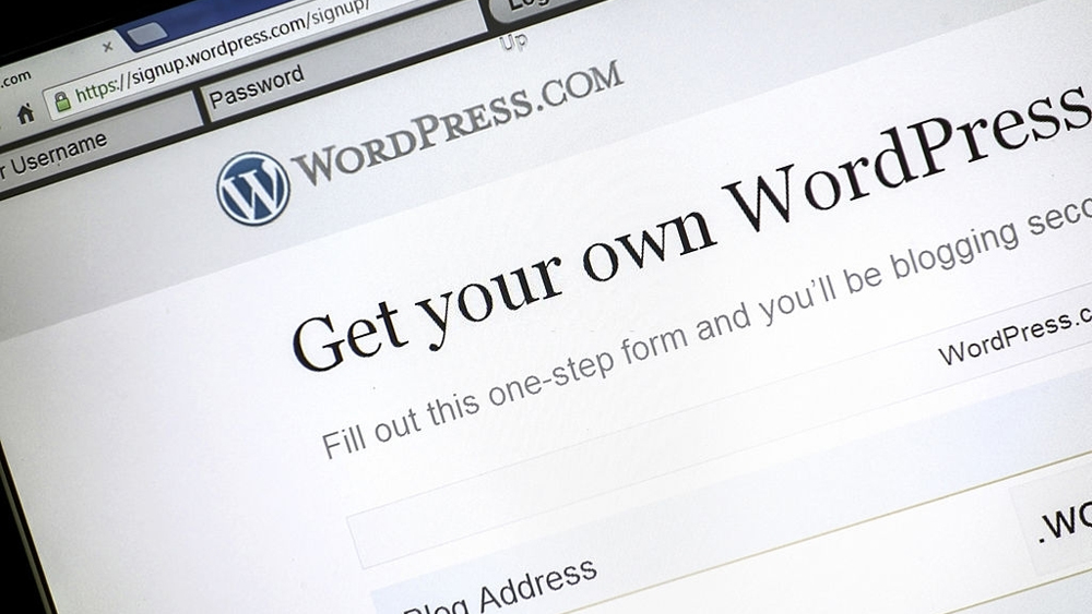 Get your own website with WordPress